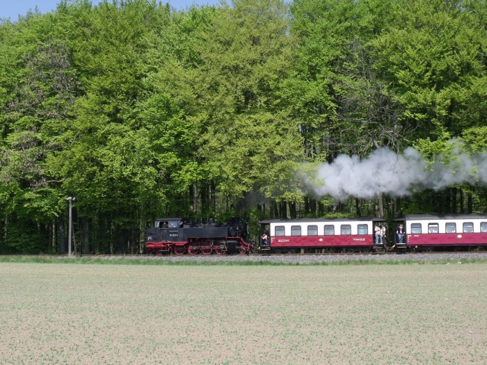 99&nbsp;2323&nbsp;Tv mit Zug Richtung Kühlungsborn, ebenfalls am Waldrand nördlich von Heiligendamm, um 13:08h am 24.04.2011