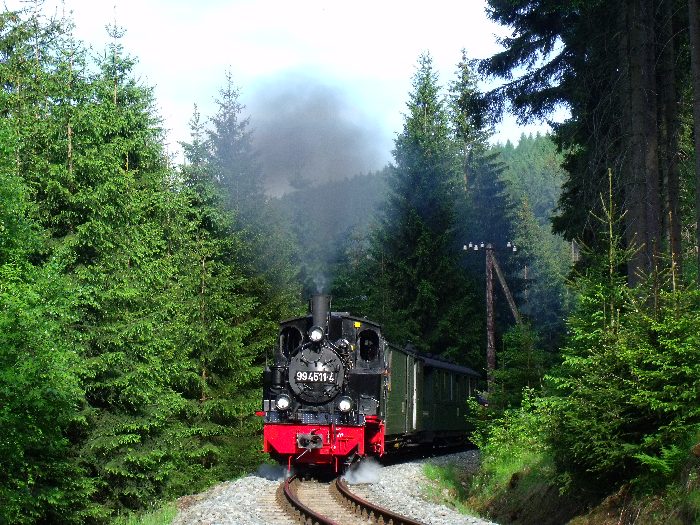 99&nbsp;4511 mit Zug&nbsp;57 direkt vor der engen Kurve im Tal weit hinter Schmalzgrube bei km&nbsp;20,2, um 18:01h am 26.05.2012