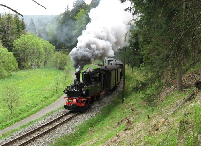 99&nbsp;1542 im Tal zwischen Schmalzgrube und Schlössel, am 17.05.2007