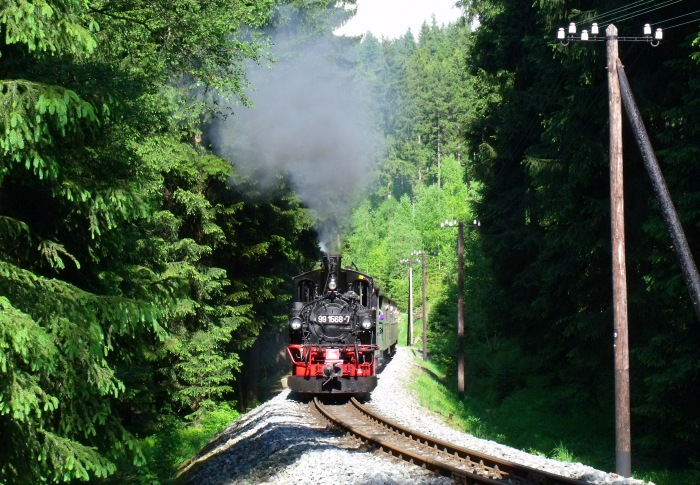 99&nbsp;1568 mit Zug Nr.27 direkt vorm Haltepunkt Loreleifelsen, um 16:33h am 28.05.2012