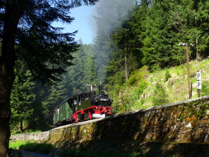 99&nbsp;1568 mit Zug Nr.15 in der Kurve hinter dem kleinen Einschnitt, direkt am Ufer des Schwarzwassers bei Strecken-km&nbsp;20,2, um 15:34h am 19.05.2013
