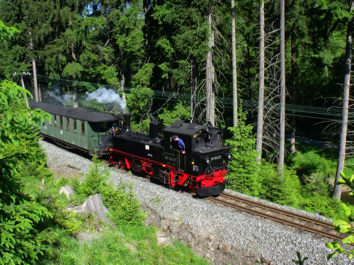 99&nbsp;1542&nbsp;Tv mit abwärts fahrendem Zug Nr.20 unterhalb des Haltepunktes Loreleifelsen an dem kleinen Wanderpfad- Bahnübergang, um 9:14h am 07.06.2014