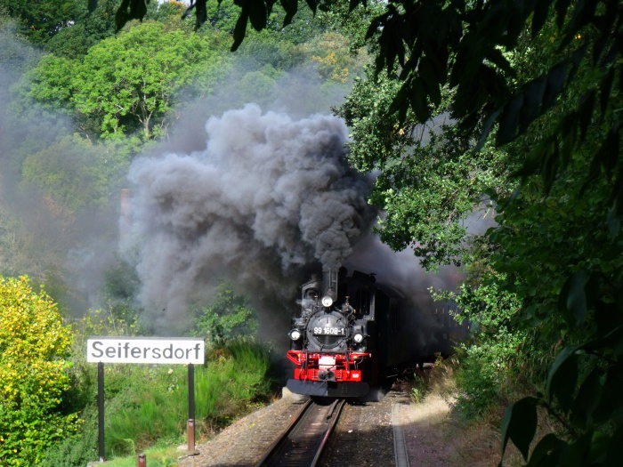 99&nbsp;1608 mit P&nbsp;5300 nach Dippoldiswalde an der Ausfahrt von Seifersdorf, um 10:00h am 26.09.2019
