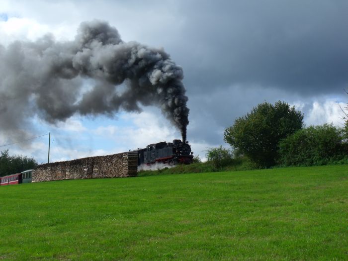 99&nbsp;716 mit Zug Ochsenhausen-Warthausen hinter Reinstetten, um 12:17h am 09.10.2011