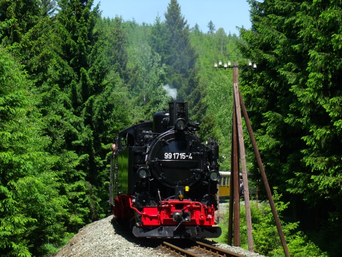 99&nbsp;1715 mit Zug&nbsp;13 in der Kurve direkt vorm Loreleifelsen und der Schwarzwasserbrücke, um 13:34h am 08.06.2014