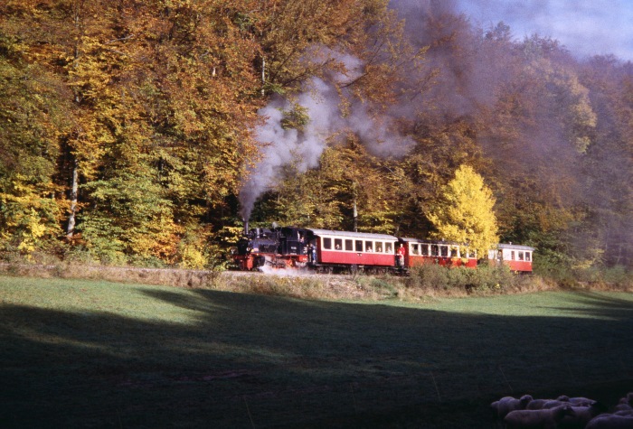 99&nbsp;7203 im herbstlichen unteren Duital, am 24.10.2004