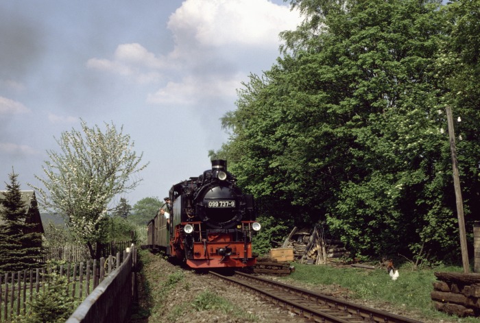 099&nbsp;737 (99&nbsp;772) mit Zug N&nbsp;14319 am Waldrand an den Gärtenh hinter Cranzahl, um 16:10h am 24.05.1992