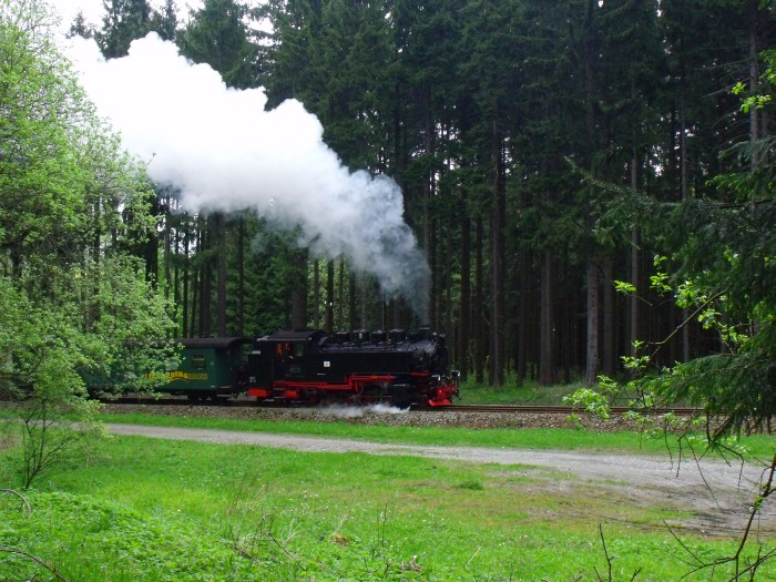 99&nbsp;794 mit P&nbsp;1005 hinter Vierenstraße, um 16:58h am 13.05.2012