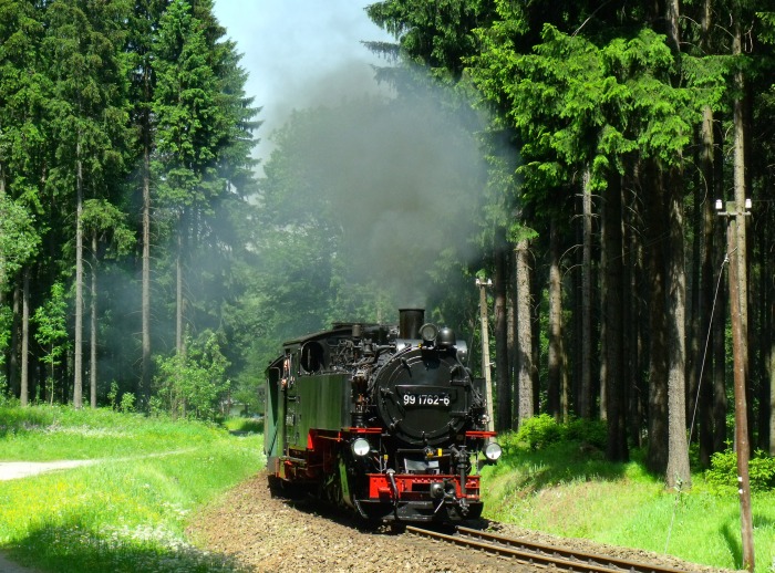 99&nbsp;1762 mit P&nbsp;1003 weiter hinten im Wald bei Vierenstraße, um 12:10h am 09.06.2014