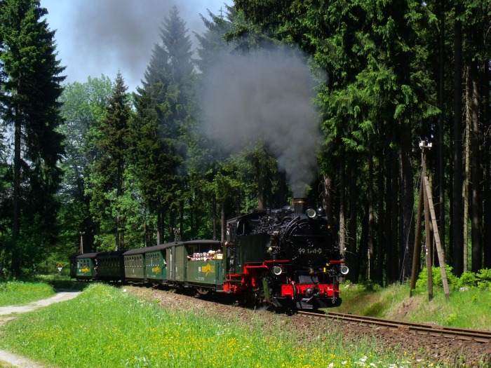 99&nbsp;1741 mit P&nbsp;1005 im Fichtenwald hinter Vierenstraße, um 13:48h am 09.06.2014