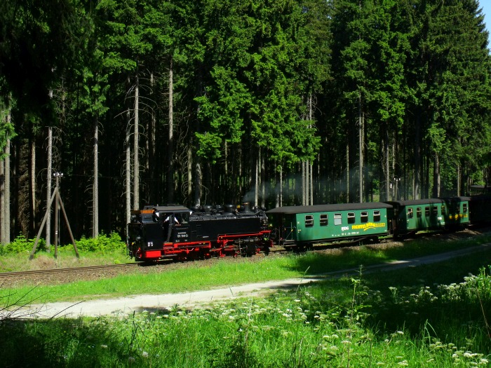 99&nbsp;1762&nbsp;Tv rollt mit P&nbsp;1008 abwärts Richtung Cranzahl, fotografiert im Fichtenwald oberhalb Hp Vierenstraße, um 15:25h am 09.06.2014