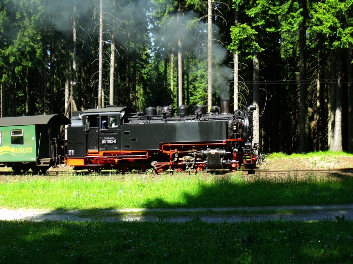 99&nbsp;1762 mit P&nbsp;1007 im Fichtenwald hinter Vierenstraße, um 15:47h am 09.06.2014