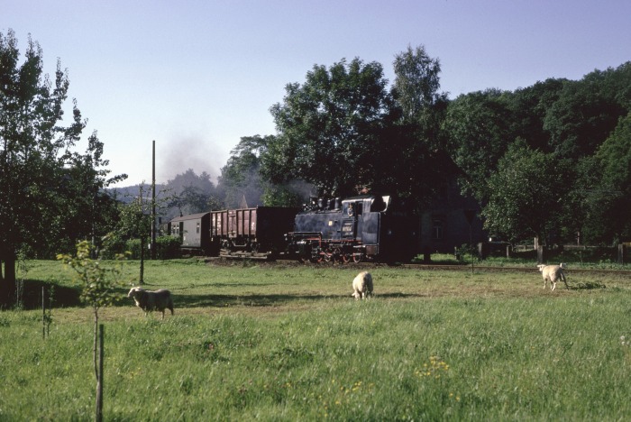 99&nbsp;1794&nbsp;Tv mit Güterzug abwärts bei Ulberndorf, am 01.09.1989