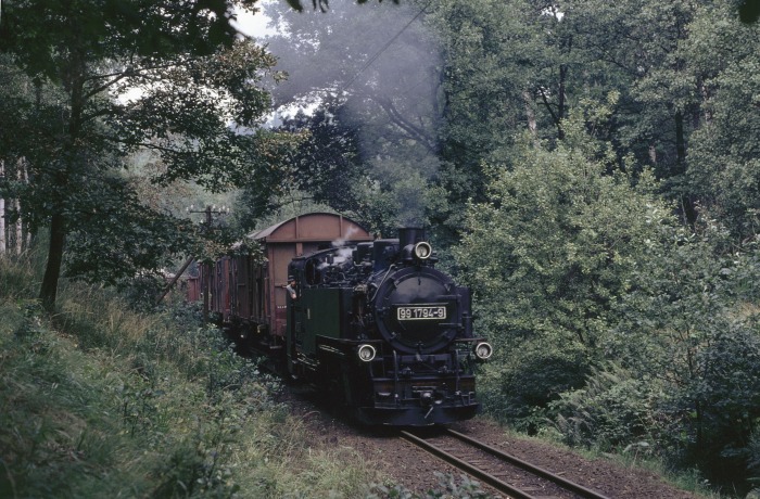 99&nbsp;1794 mit Güterzug im Wald zwischen Seifersdorf und Malter, um 14:05h am 07.09.1989