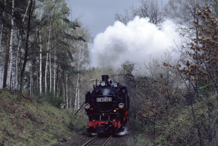 99&nbsp;1761 mit P&nbsp;14265 im Wald vor Malter, am 25.03.1990