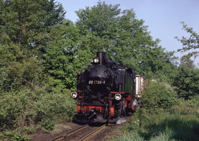 99&nbsp;1789 mit Güterzug hinter Seifersdorf, am 14.05.1990