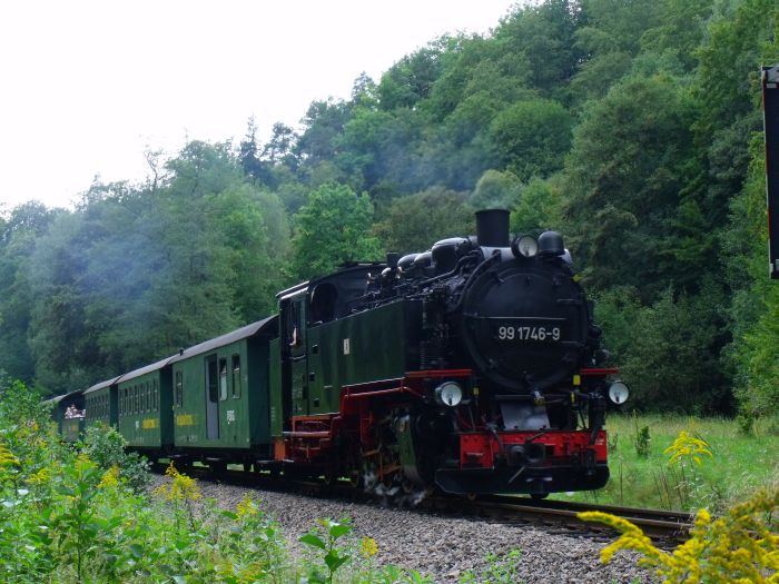 99&nbsp;1746 mit P&nbsp;5006 an der  Wiese vor dem Bahnhof Rabenau, um 14:29h am 29.08.2011