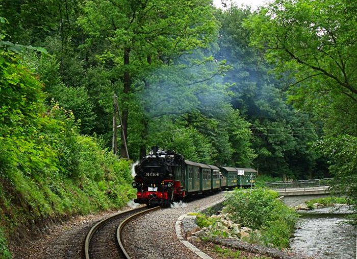 99&nbsp;1734 mit P&nbsp;5006 an der Einfahrt vom Haltepunkt Spechtritz, direkt an der rauschenden Weißeritz, um 14:35h am 25.07.2011