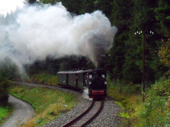 No&nbsp;54 mit Zug&nbsp;11 bergauf krachend im Schwarzwasser-Tal oberhalb von Schmalzgrube, um 13:50h am 27.08.2011