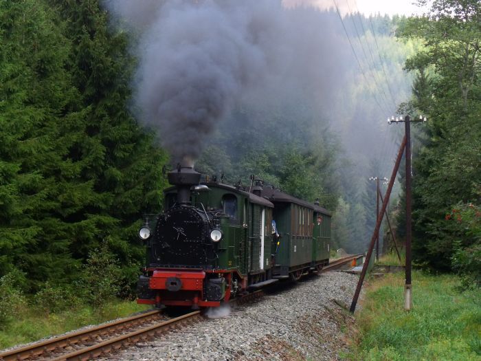 No&nbsp;54 mit Zug&nbsp;11, hinter der Schwarzwasser-Brücke hinterm Loreleifelsen vor dem Bahnhof Schmalzgrube, um 11:38h am 28.08.2011