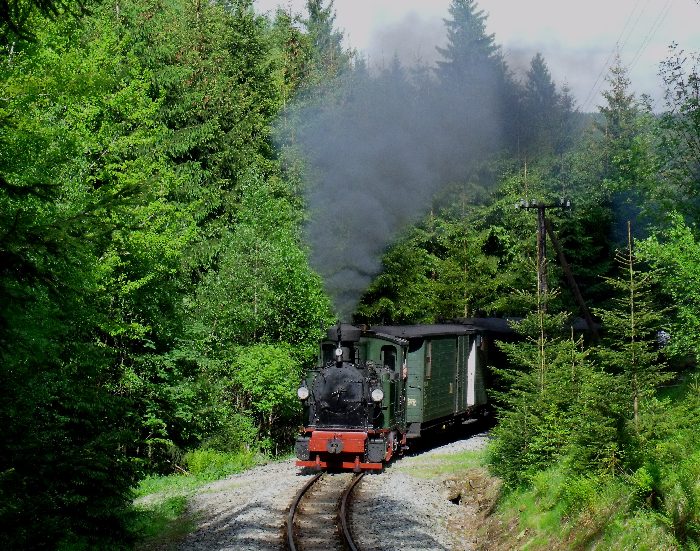 No&nbsp;54 mit Zug&nbsp;55 auf der Preßnitztalbahn, direkt auf dem kleinen Wanderweg-Bü in der Kurve im Tal weit oberhalb von Schmalzgrube, um 17:02h am 26.05.2012