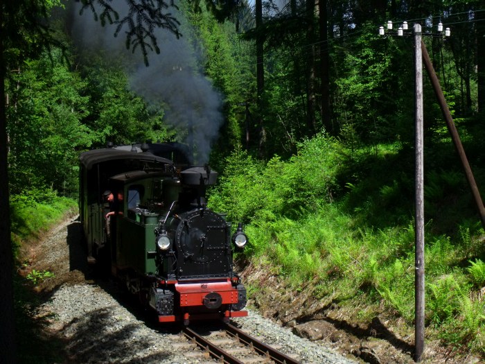 No&nbsp;54 mit Zug&nbsp;51 auf der Preßnitztalbahn, in der Kurve im Tal weit oberhalb von Schmalzgrube bei km 20,2, um 15:10h am 08.06.2014