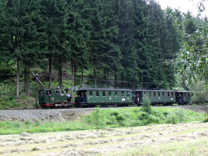 No&nbsp;54&nbsp;Tv mit Zug Nr.14 abwärts zwischen Schlössel und Schmalzgrube, um 14:24h am 23.07.2011