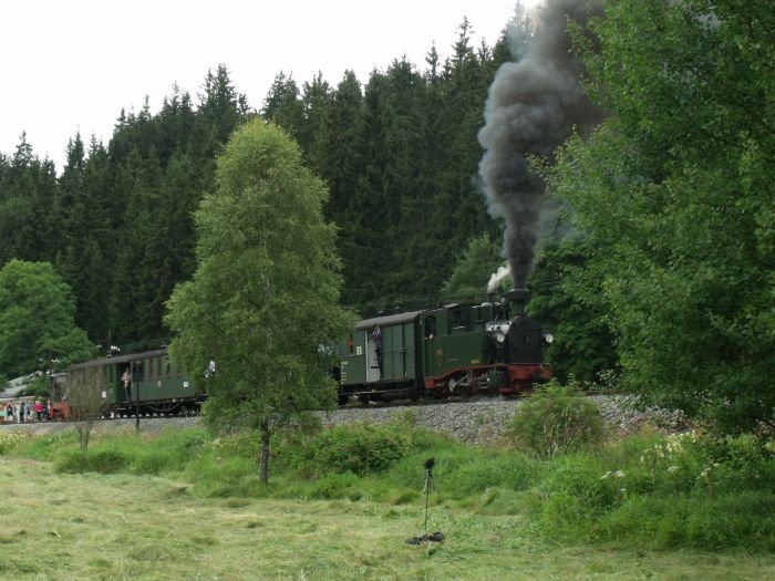 No&nbsp;54 mit Zug Nr.13,geschoben von Diesellok 199 007, Anfahrt am Hp&nbsp;Forellenhof, um 13:26h am 24.07.2011