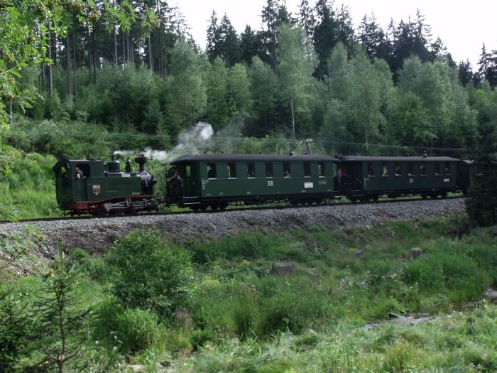 No&nbsp;54&nbsp;(Tv) Zug Nr.16 abwärts zwischen Schlössel und Schmalzgrube, kurz unterhalb vom Haltepunkt Loreleifelsen, um 16:15h am 24.07.2011