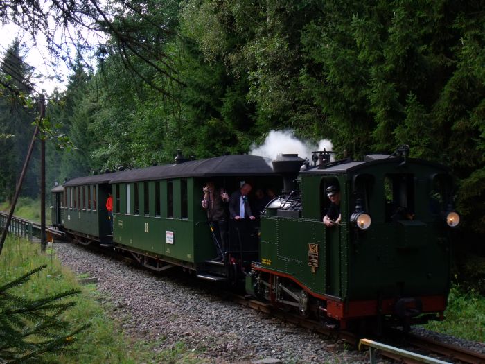 No&nbsp;54 Tv mit Zug&nbsp;12 abwärts auf der Preßnitztalbahn, fotografiert direkt am &bdquo;Loreleifelsen&ldquo; bei der Schwarzwasser-Brücke, um 12:19 am 28.08.2011