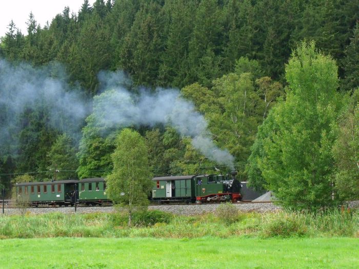 No&nbsp;54 mit Zug&nbsp;17 Abfahrt am Haltepunkt Forellenhof, um 17:24h am 28.08.2011