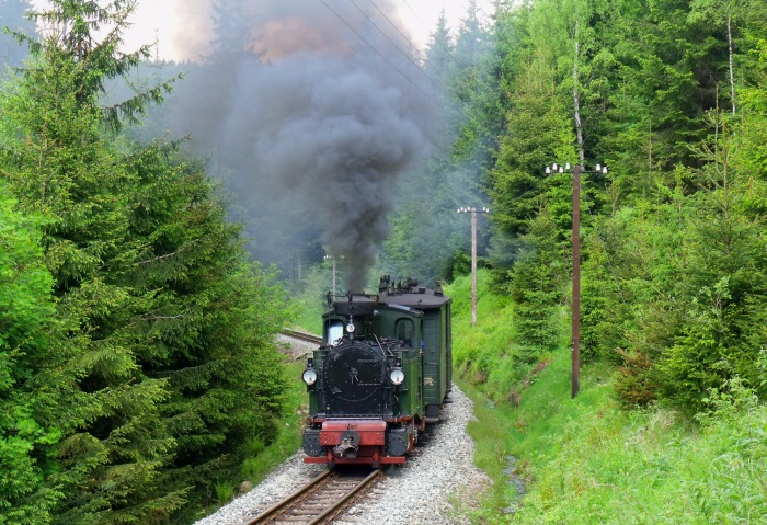 No&nbsp;54 mit Zug&nbsp;51 auf der Preßnitztalbahn, im Tal zwischen Schmalzgrube und Schlössel bei km 20,9 (vorm Haltepunkt Loreleifelsen), um 15:03h am 28.05.2012