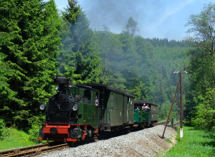 No&nbsp;54 mit Zug&nbsp;45 auf der Preßnitztalbahn, zwischen der Schwarzwasser-Brücke am Loreleifelsen und der Einfahrt von Schlössel, um 12:14h am 07.06.2014