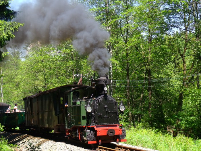 No&nbsp;54 mit Zug&nbsp;49 auf der Preßnitztalbahn, vor der Einfahrt von Schlössel, um 14:12h am 07.06.2014