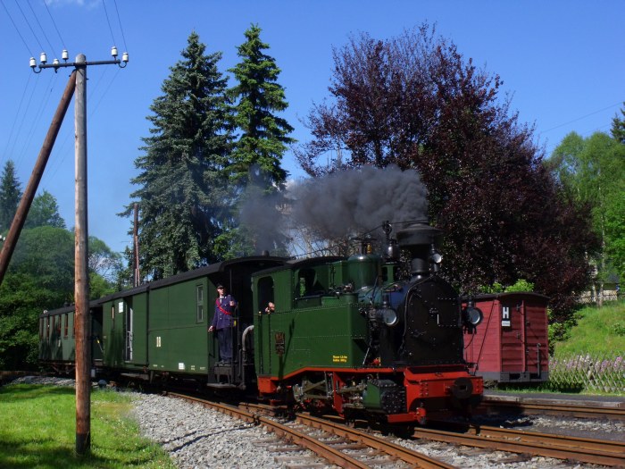 No&nbsp;54 mit Zug&nbsp;53 auf der Preßnitztalbahn, einfahrend im Bf Schlössel, um 16:12h am 07.06.2014