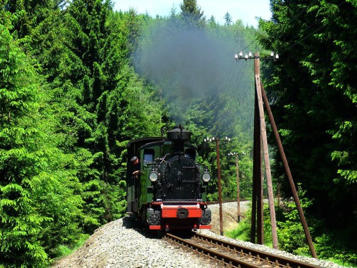 No&nbsp;54 mit Zug&nbsp;47 in der Kurve hinterm Haltepunkt, an dem aber leider durchgefahren wurde, direkt vorm Loreleifelsen im Schwarzwassertal, um 13:06h am 08.06.2014