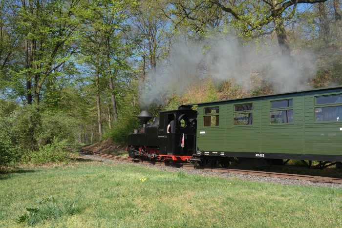 99&nbsp;3317 mit Zug Richtung Weißwasser im Park hinter Ausfahrt Bad Muskau nahe der Bautzener Straße (B115), um 10:49h am 20.04.2025