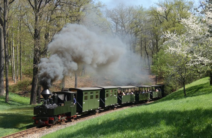99&nbsp;3315&nbsp; mit Zug Muskau&rarr;Weißwasser in der Kurve an der Obstbaumwiese hinter Bad Muskau, um 12:09h am 20.04.2025