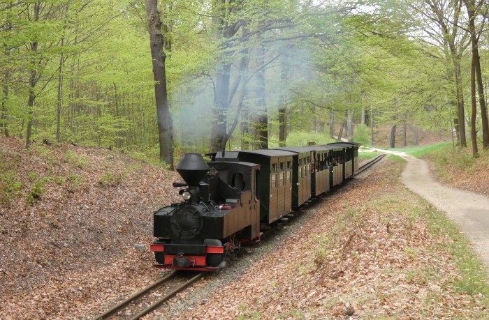 99&nbsp;3315&nbsp; mit letztem Zug am Ostersonntag nach Weißwasser, Neustart nach Spezielhalt am Waldrand hinter Bad Muskau, 18:17h am 20.04.2025