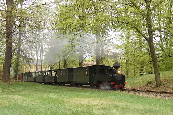 99&nbsp;3317 mit vorletztem Zug Muskau&rarr;Weißwasser zu Ostern 2025, aufgenommen im schon etwas dunkler gewordenen Waldrands in der Steigung hinter Bad Muskau, um 16:53h am 21.04.2025