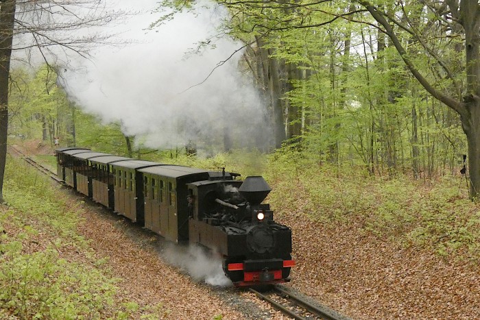 99&nbsp;3317 mit Zug Richtung Weißwasser im Wald kurz vor dem Haltepunkt Feuerturmteich, um 17:01h am 18.04.2025