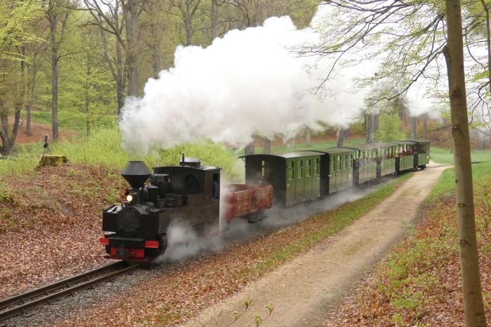 99&nbsp;3317 mit Zug zurück von Bad Muskau nach Weißwasser, in der Steigung am Waldrand hinter Bad Muskau, um 13:57h am 19.04.2025