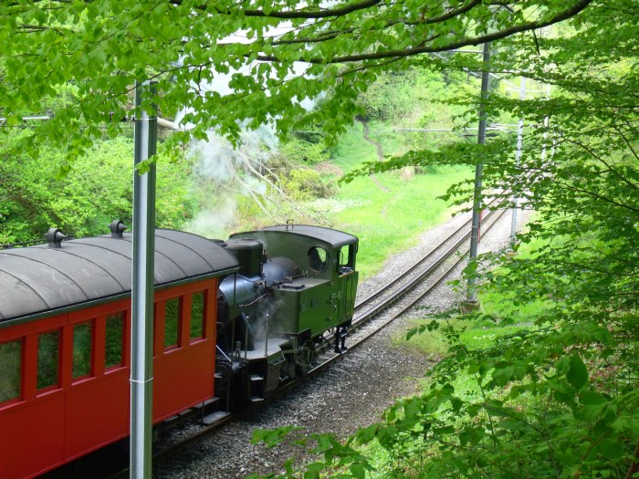 RHB&nbsp;3 schiebt 3-Wagen-Zug nach Heiden, im Wald unterhalb von Wienacht-Tobel, um 10:56h am 04.05.2014