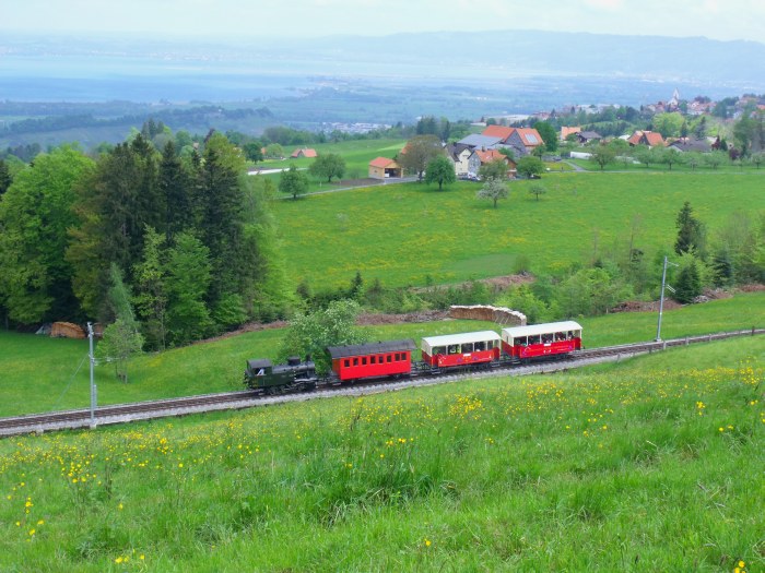 Lok Rosa RHB&nbsp;3 auf Talfahrt unterhalb von Heiden, um 13:07h am 04.05.2014