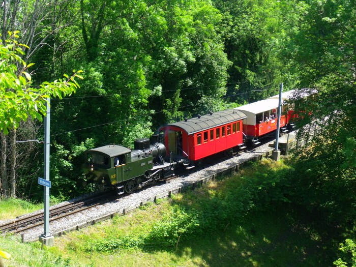 Lok Rosa RHB&nbsp;3&nbsp;Tv auf Talfahrt direkt am Haltepunkt Wartensee (siehe links das Schild), fotografiert vom Gelände des netten Gartenrestaurants Windegg aus, um 13:21h am 01.06.2014