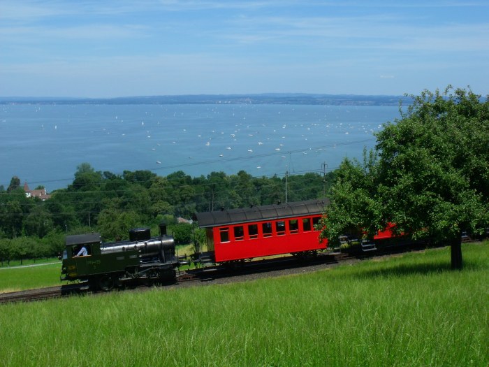RHB&nbsp;3 Rosa Tv auf Talfahrt mit Zug zurück von Heiden, oberhalb von Rorschach, um 13:23h am 06.07.2014