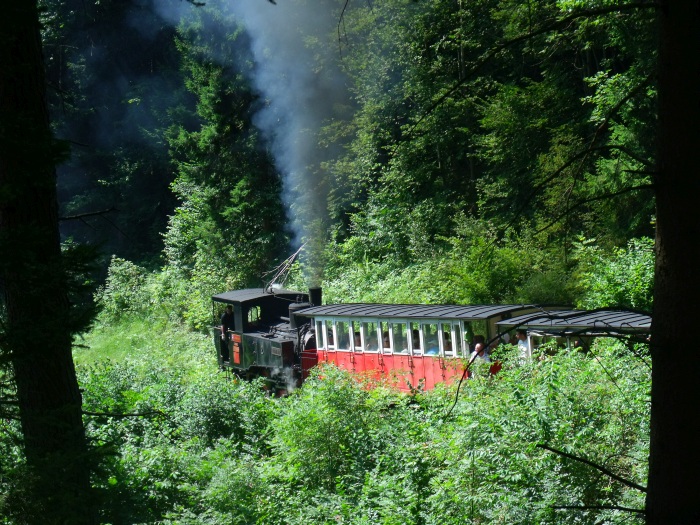 Lok&nbsp;3 der AsB schiebt den Zug etwa eine Stunde zuvor hoch, nämlich um 14:13h, fotografiert bei Strecken -Km&nbsp;3,0, am 03.08.2017