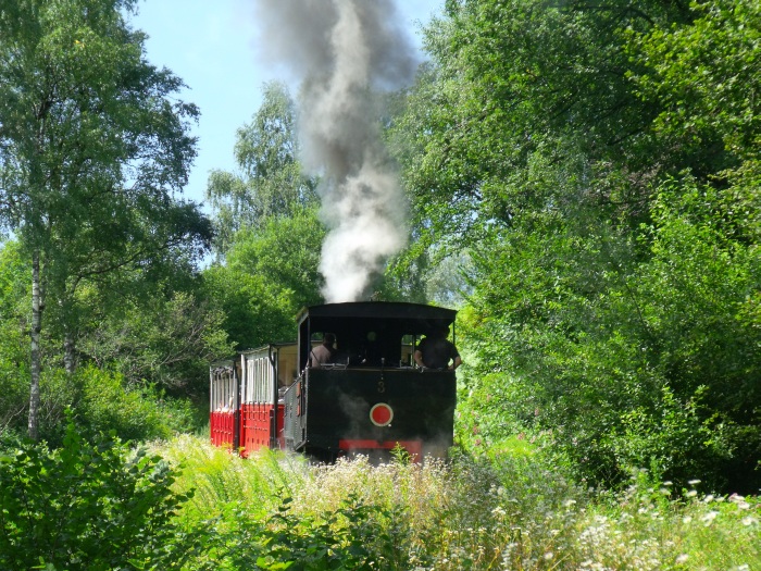 Lok&nbsp;3 der AsB schiebt die in diesen Hauptsaison üblichen und schön schweren 2 Wagen von Jenbach hoch zum Achensee, wenige hundert Meter hinter dem Haltepunkt Burgeck fotografiert und synchron akustisch aufgenommen, um 15:16h am 02.08.2017
