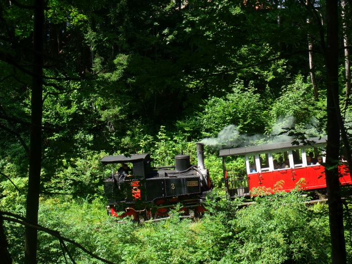 Lok&nbsp;3 nun rückwärts (Tv) und abwärts fahrend nach Jenbach, kurz unterhalb von Eben im Wald, um 11:31h am 04.08.2017