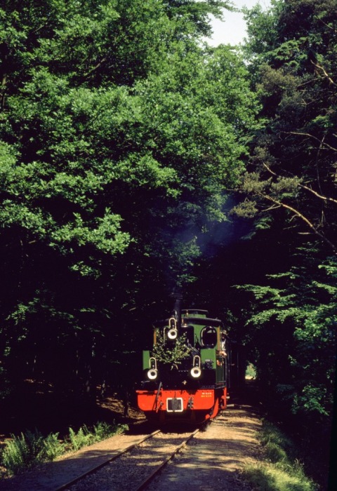 HERMANN mit Zug&nbsp;9 im Wald Vilser Holz, am 03.06.1979